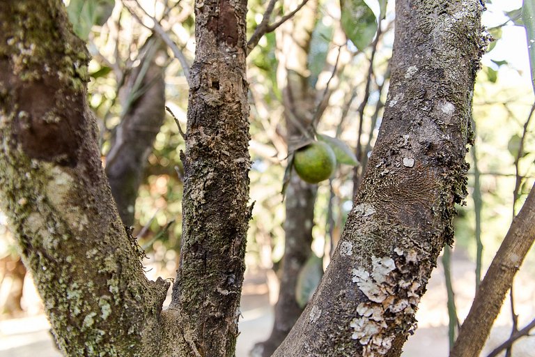 Chalé Ágata | Ofurô, Fogueira e Natureza em Pirenópolis