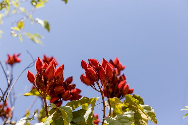 Chalé Ágata | Ofurô, Fogueira e Natureza em Pirenópolis