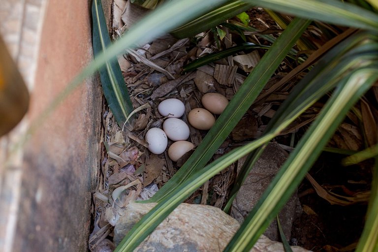 Chalé Ágata | Ofurô, Fogueira e Natureza em Pirenópolis