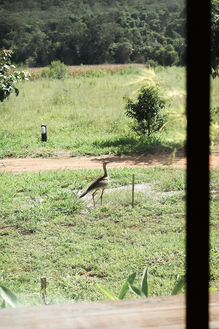 Summer Glass Home: cabana de vidro com ofurô em Pirenópolis