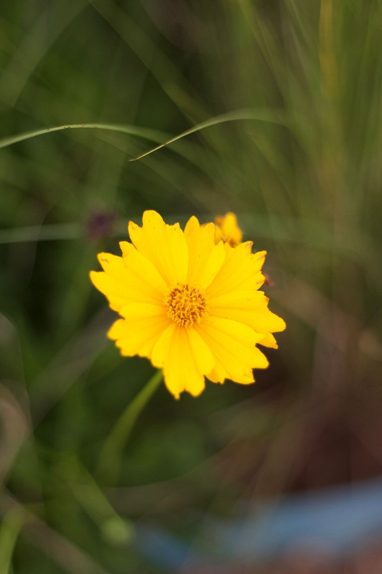 Summer Glass Home: cabana de vidro com ofurô em Pirenópolis