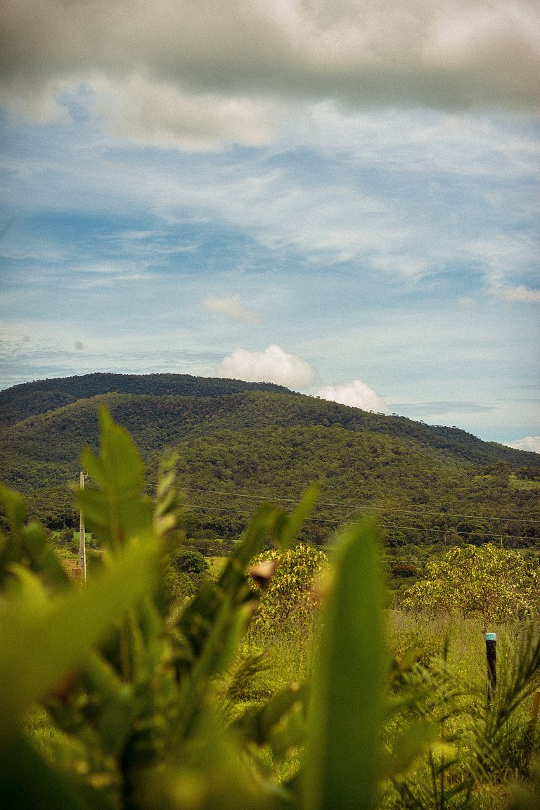 Green Roof Lodge