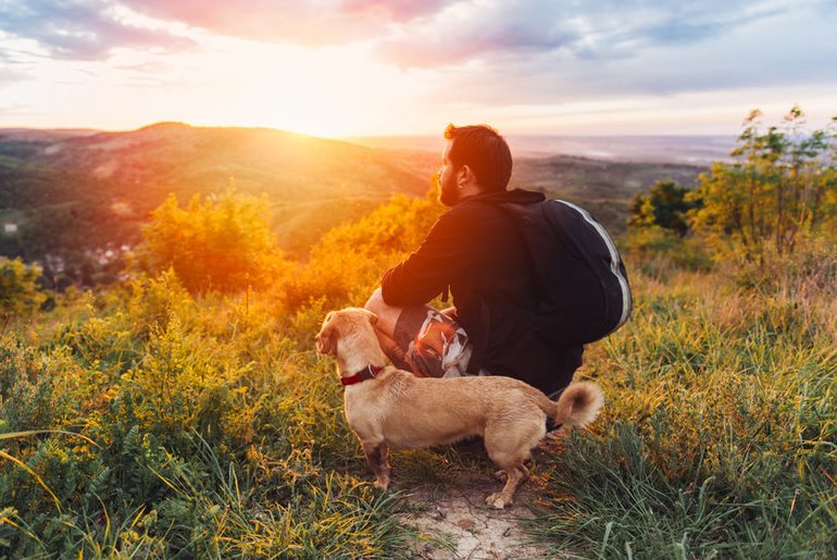 Vai viajar com seu pet?