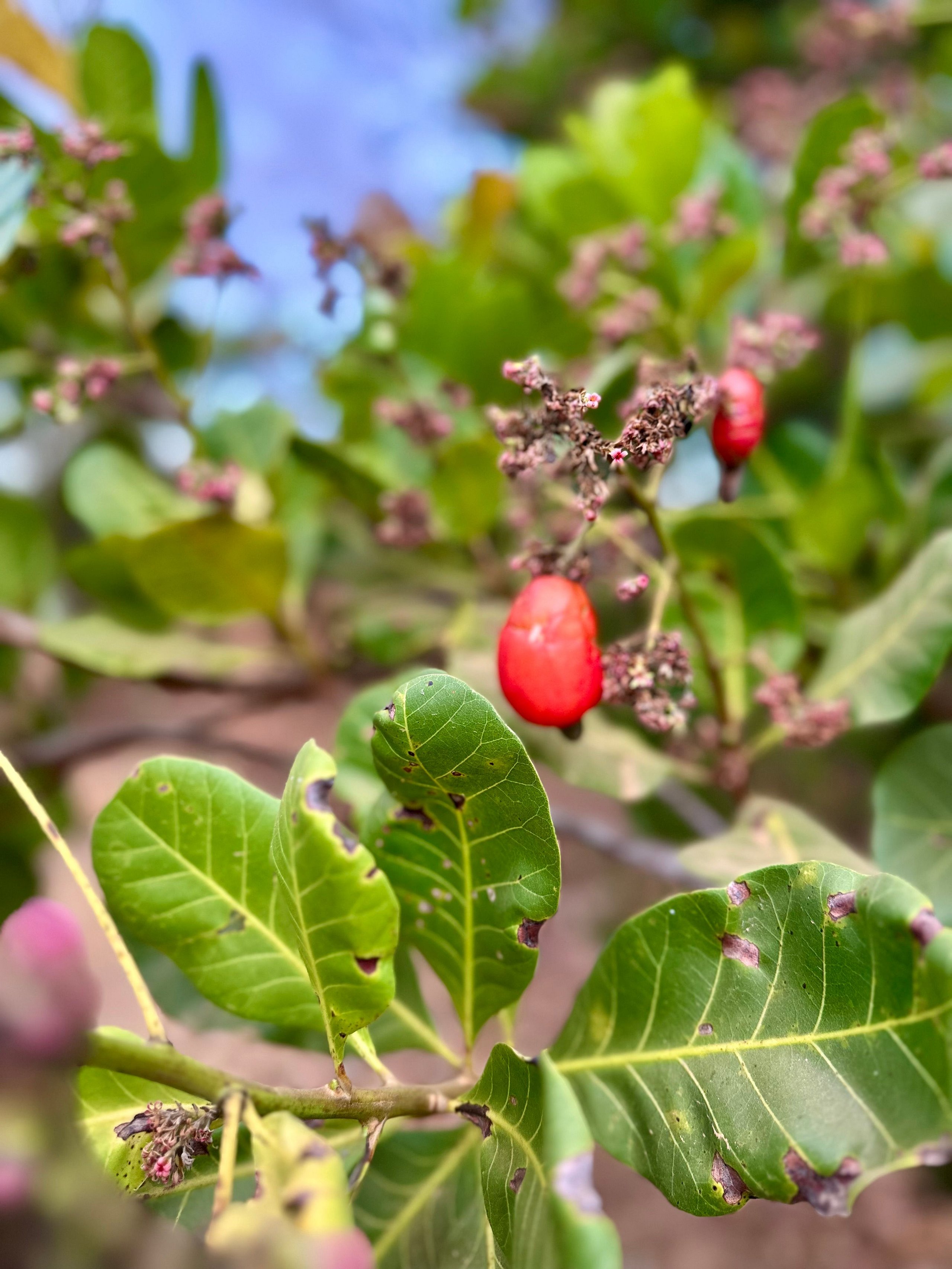Quando a hospedagem se transforma em consciência ambiental
