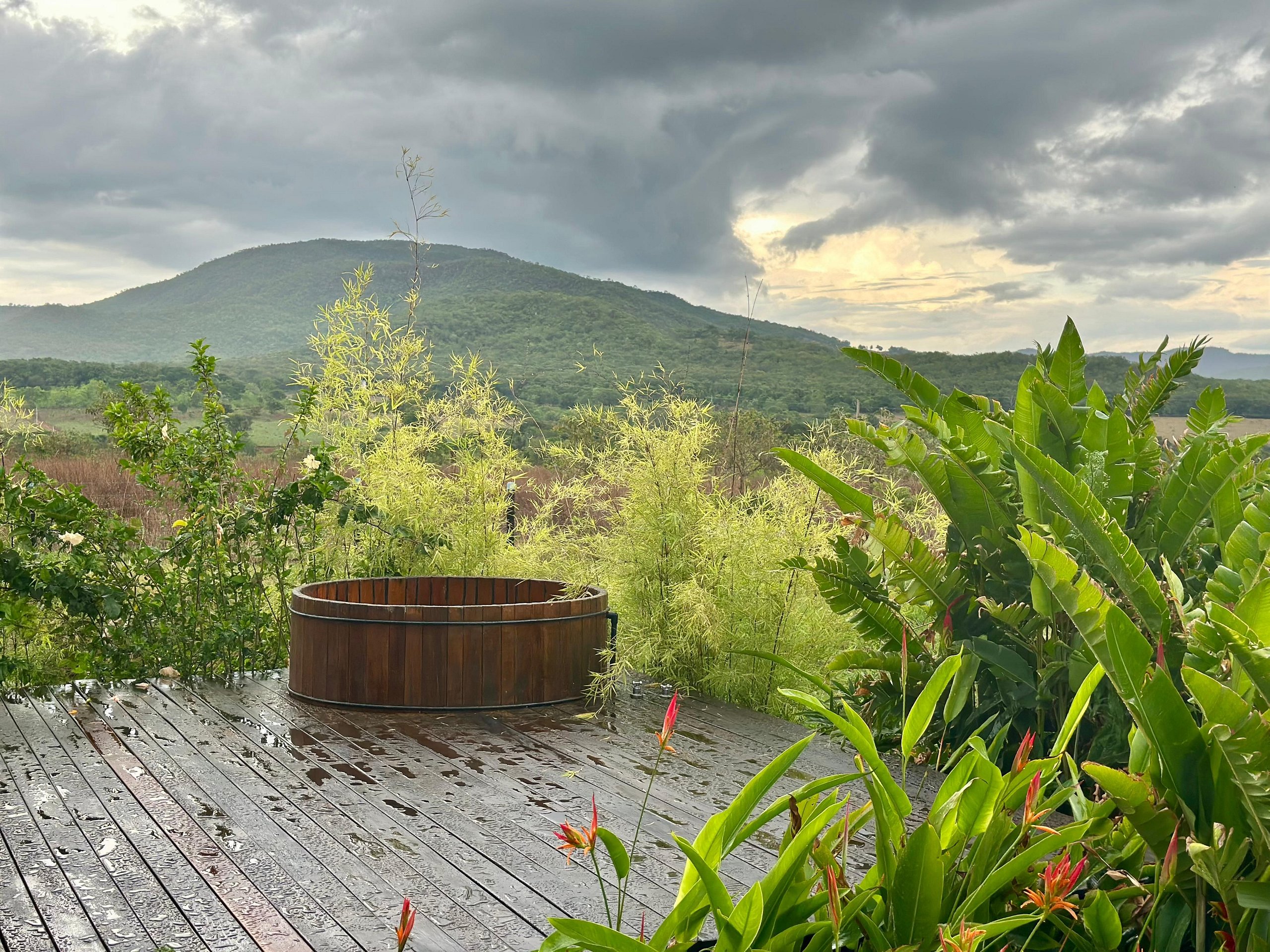 Experiências no campo durante o período das chuvas em Pirenópolis: o luxo invisível da natureza e da reconexão essencial
